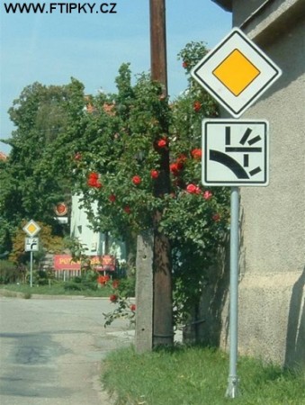sranda08.jpg