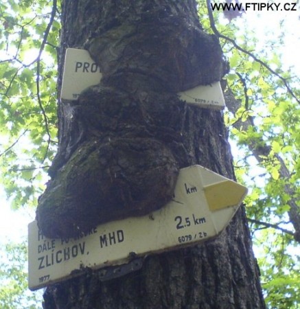 sranda09.jpg